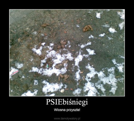 psiebisniegi.jpg