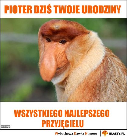 pioter-dzis-twoje-urodziny_2018-05-29_10-04-04.jpg